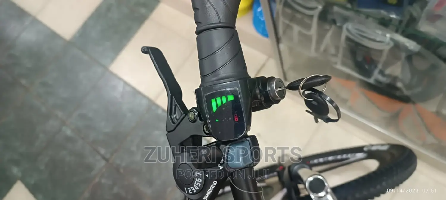 Phoenix Rechargeable Electric Mountain Bike 30km/H 7 Gears