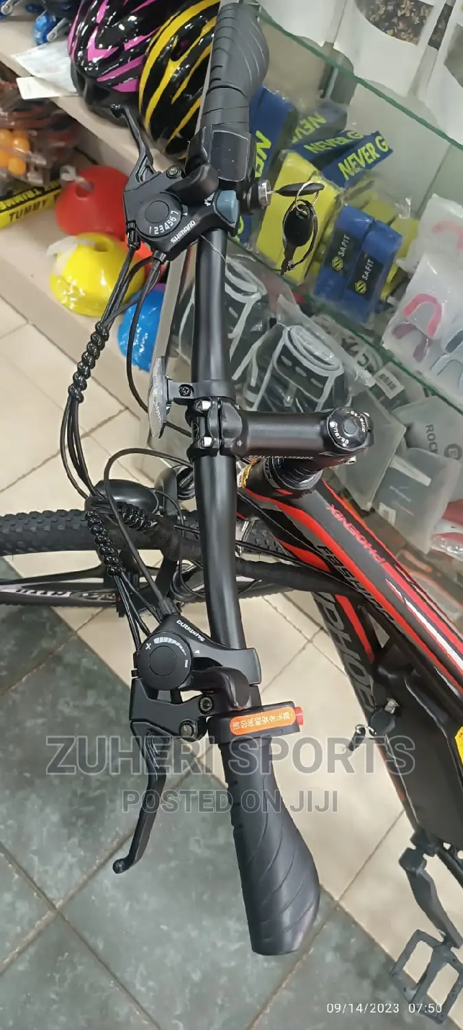 Phoenix Rechargeable Electric Mountain Bike 30km/H 7 Gears