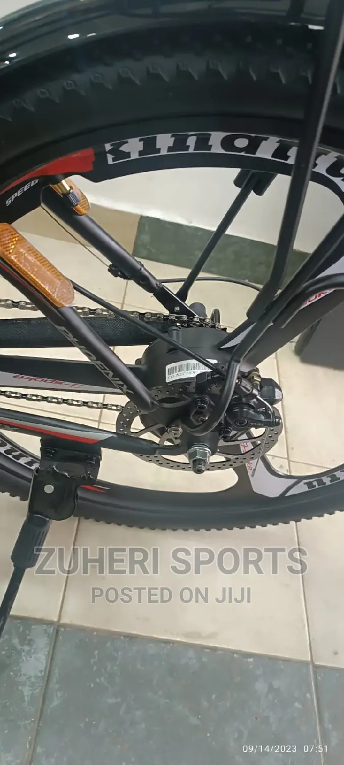 Phoenix Rechargeable Electric Mountain Bike 30km/H 7 Gears