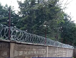 Galvanized Razor Fence Wire 450mm Diameter