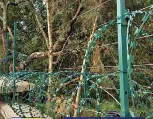 Green Coated Sharp Razor Wire 730mm Diameter
