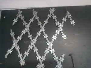 Sharp Razor Wire Fence