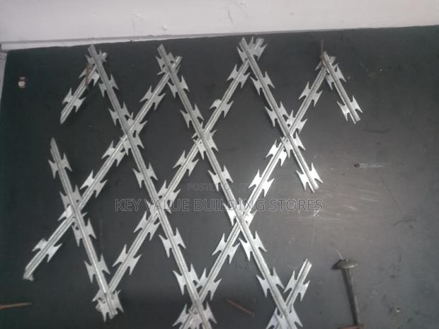 Sharp Razor Wire Fence - main view