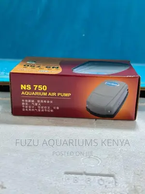 Quality Airpump Double Nozzle