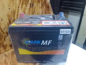 Spark Battery NS70