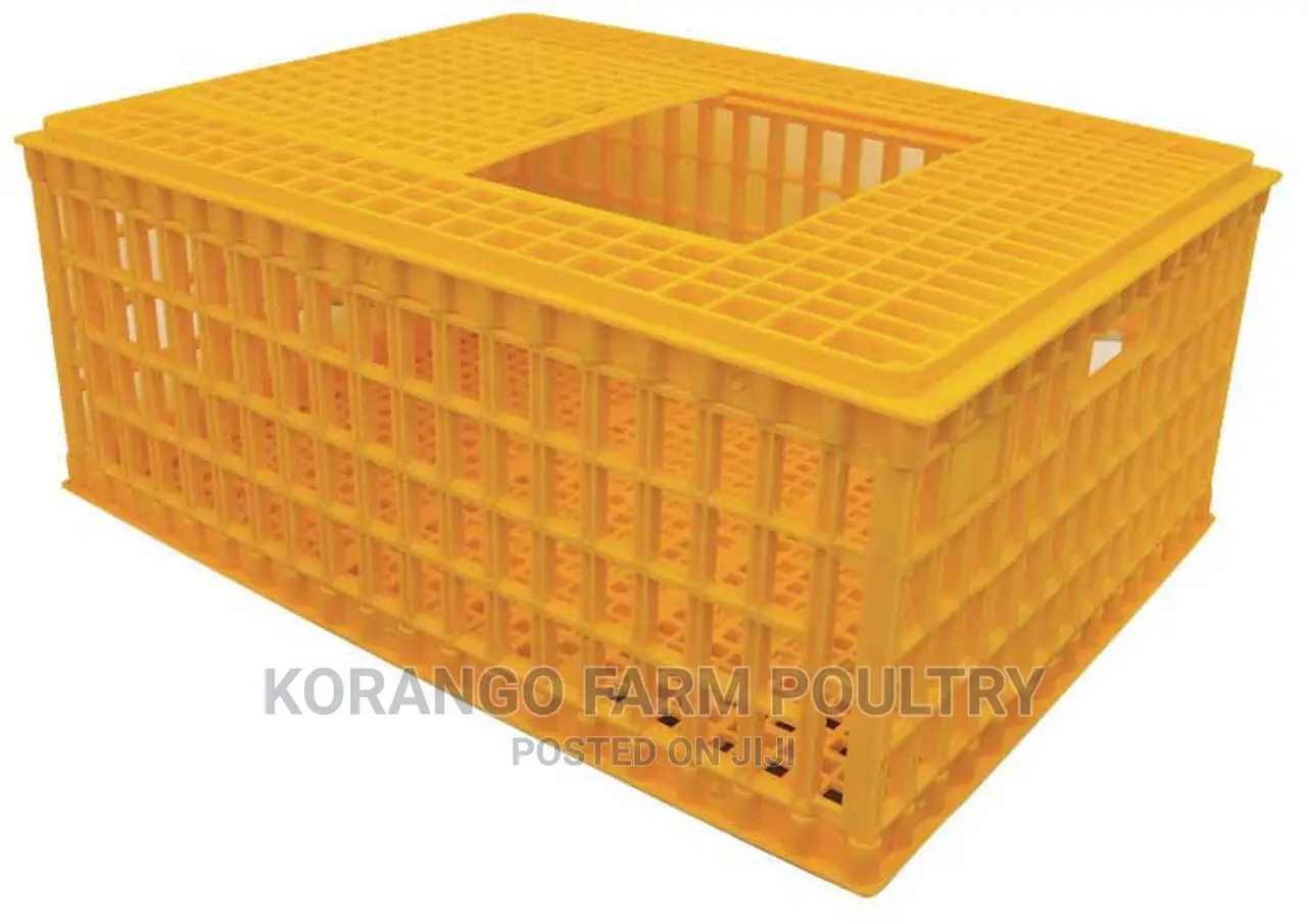 Chicken Transport Crates