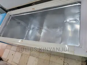Deep Freezer 600l