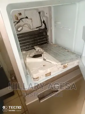 Fridge Servicing