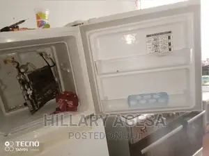 Fridge Repair and Refills