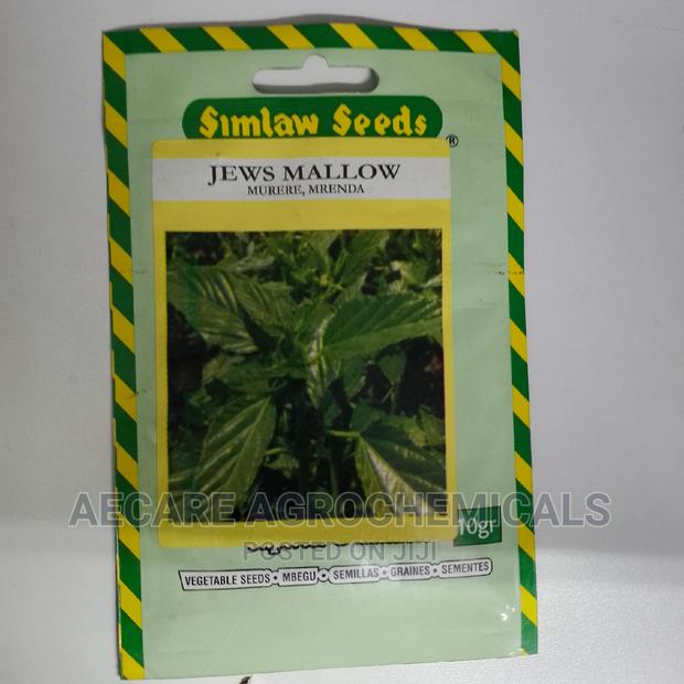 Jews Mallow , Murere, Mrenda 10G - thumbnail 4