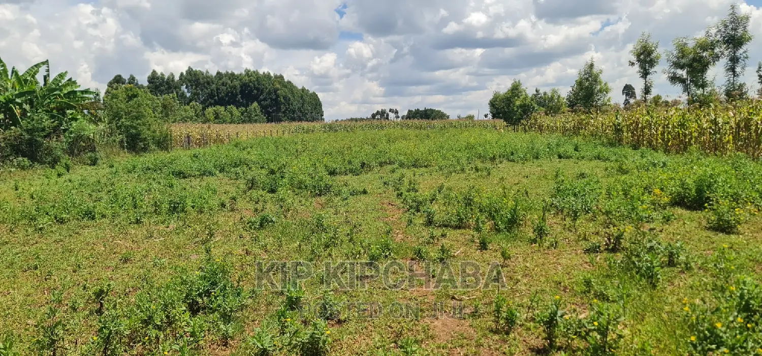 2 Acres For Sale In Moiben Junction Sergoit In Eldoret