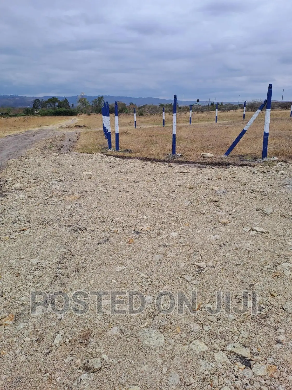 Affordable Plots in Koma Mw^