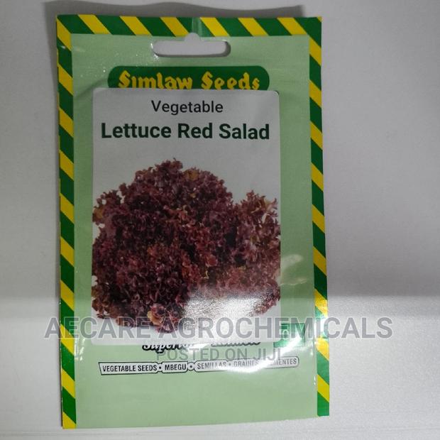 Lettuce Red Salad Vegetable 10G - main view