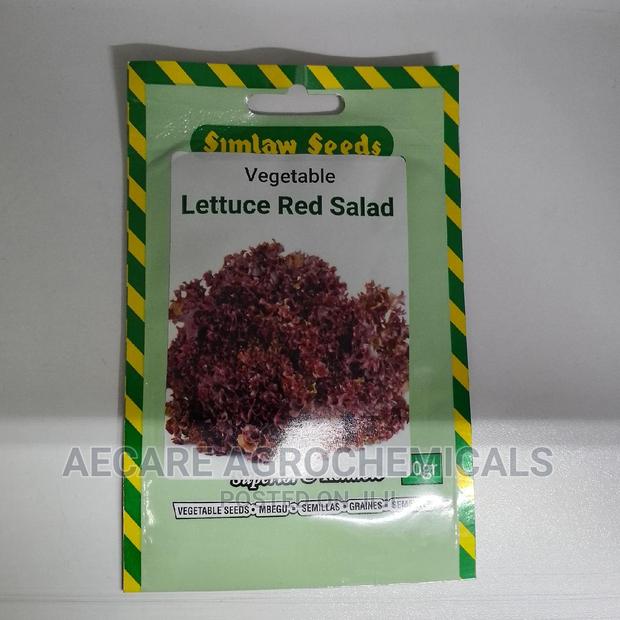 Lettuce Red Salad Vegetable 10G - thumbnail 4