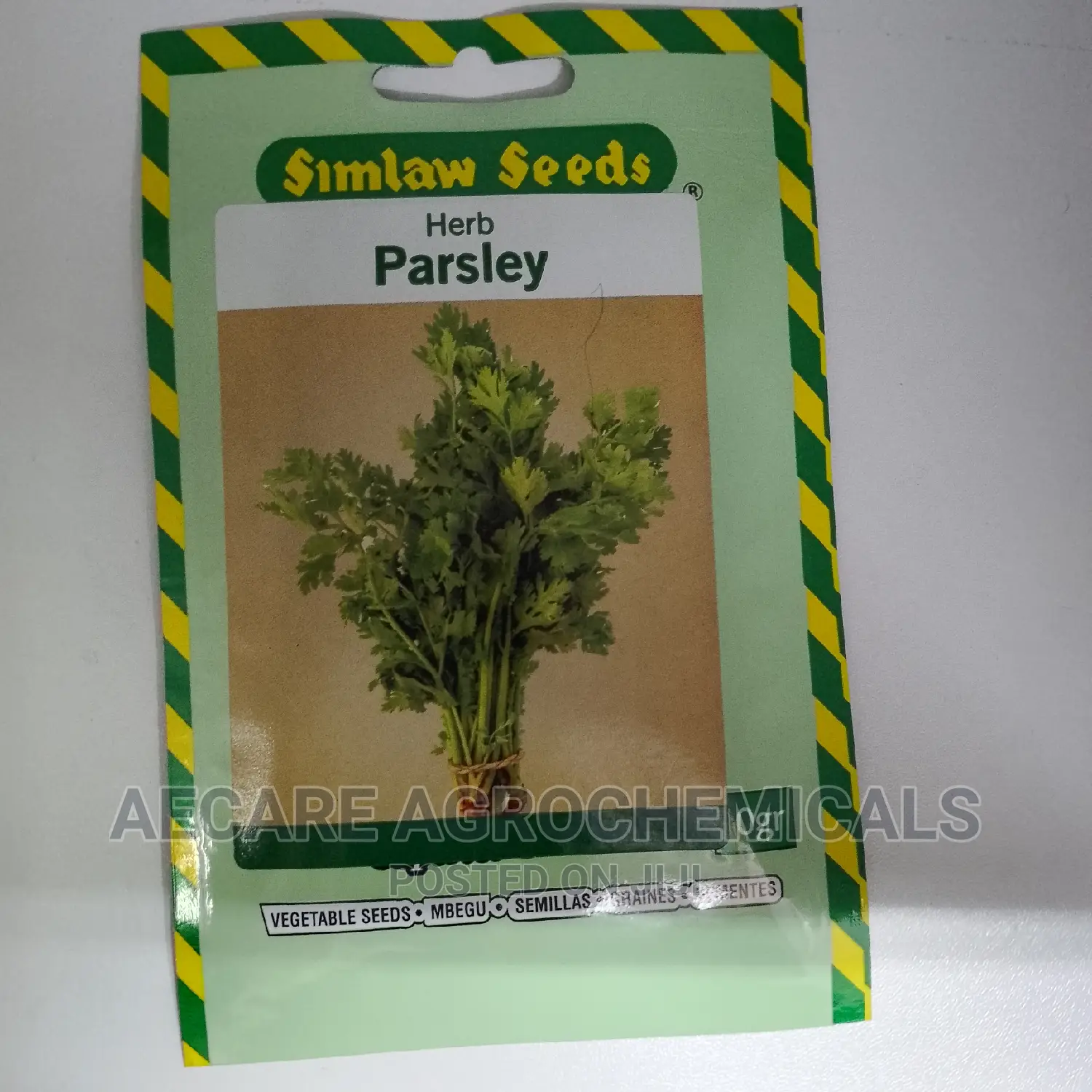 Parsley Italian Giant Herb Seed 10G