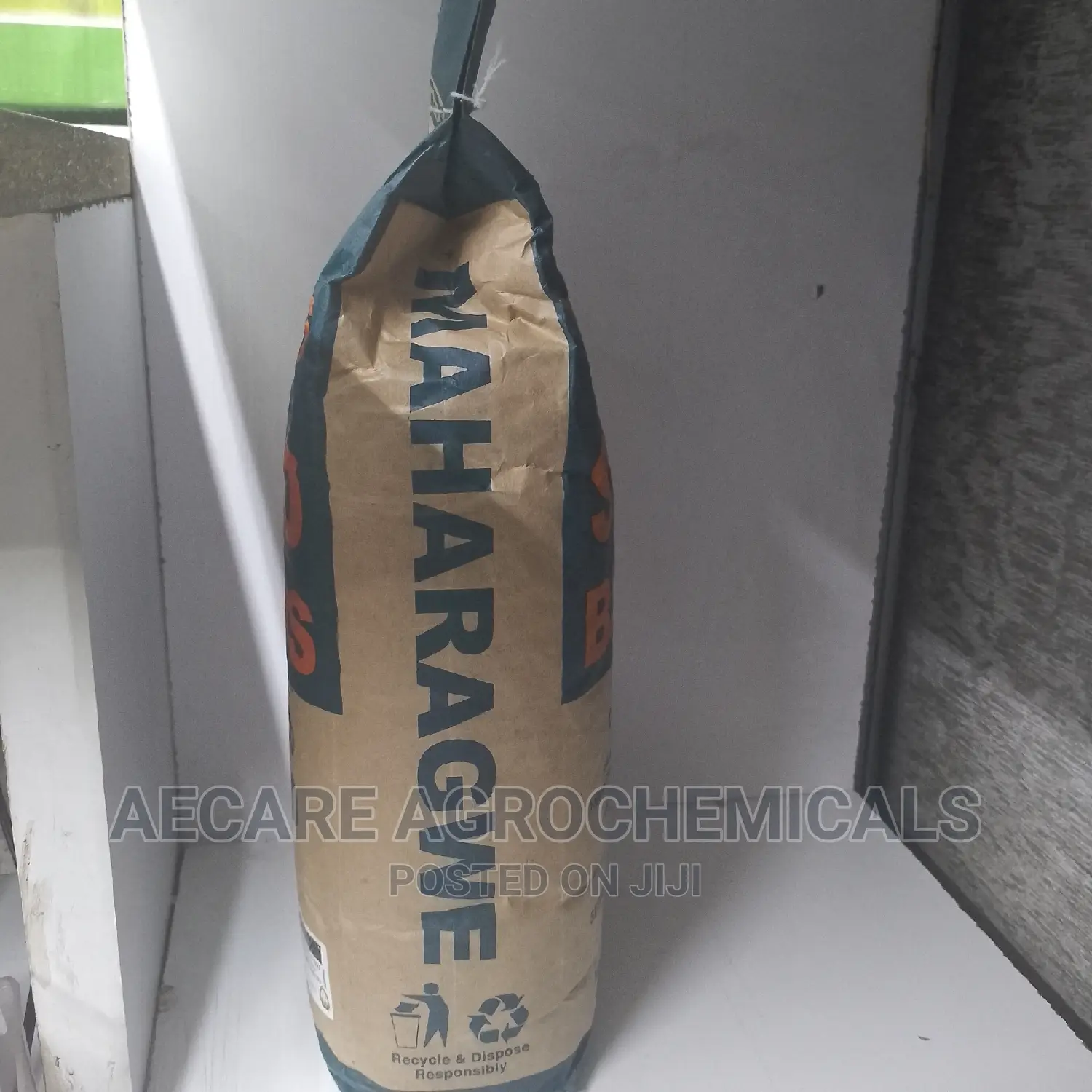 Rosecoco Glp2 Bean Seeds (Simlaw) 2kg
