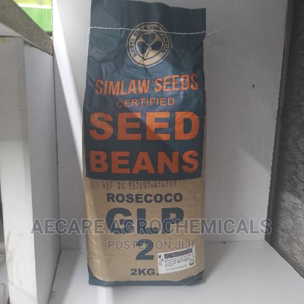 Rosecoco Glp2 Bean Seeds (Simlaw) 2kg - thumbnail 7