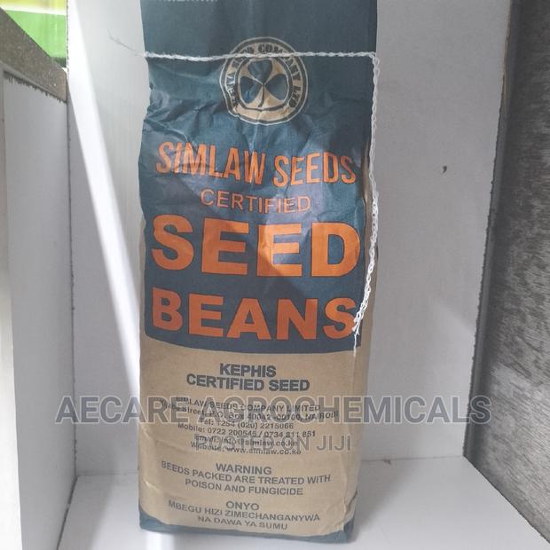 Rosecoco Glp2 Bean Seeds (Simlaw) 2kg - thumbnail 4