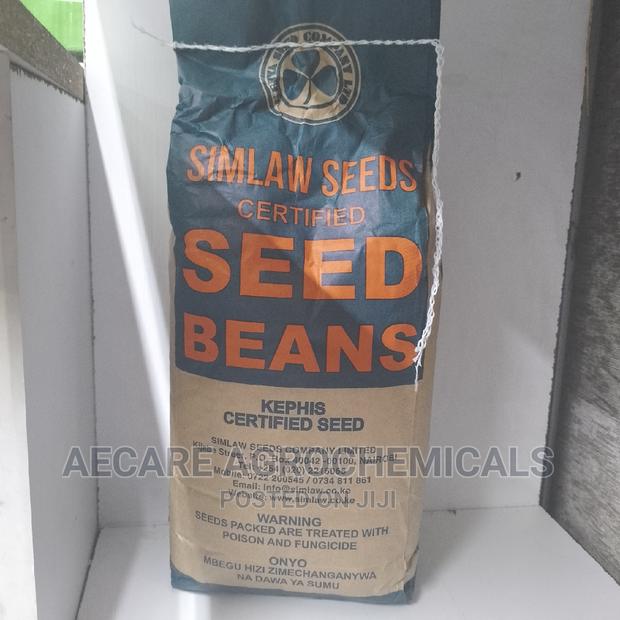 Rosecoco Glp2 Bean Seeds (Simlaw) 2kg - thumbnail 3