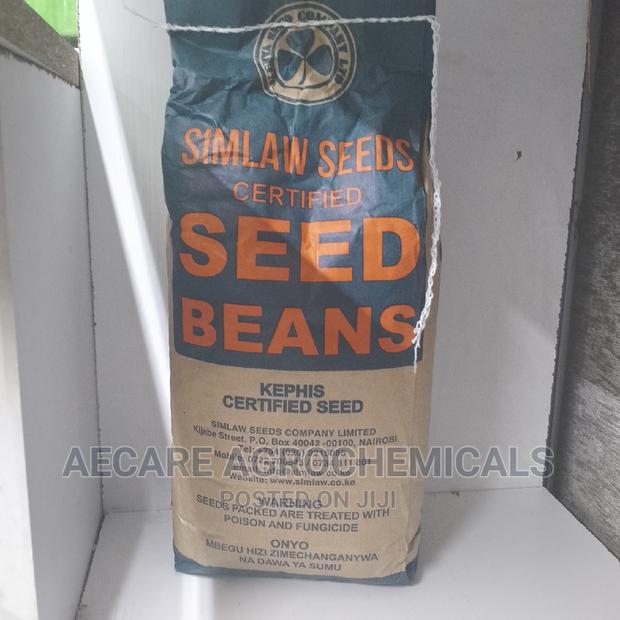 Rosecoco Glp2 Bean Seeds (Simlaw) 2kg - main view