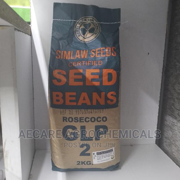 Rosecoco Glp2 Bean Seeds (Simlaw) 2kg - thumbnail 12