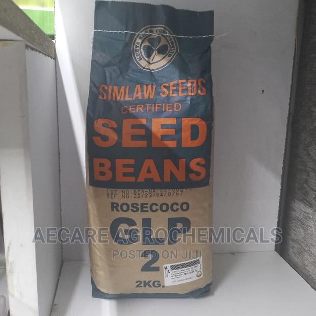 Rosecoco Glp2 Bean Seeds (Simlaw) 2kg - thumbnail 14