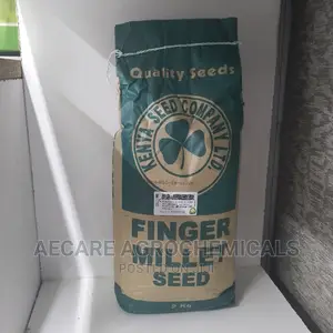 Finger Millet Seed 2kg (Simlaw )