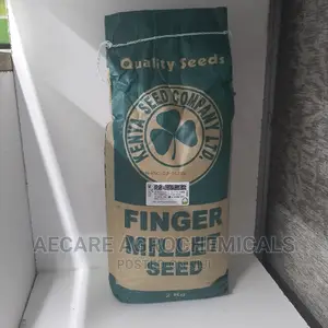 Finger Millet Seed 2kg (Simlaw )