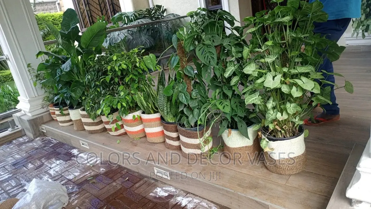 Outdoor Baskets Decor