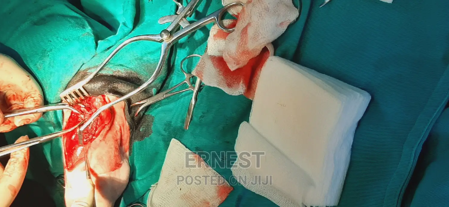Veterinary Services and Check Ups