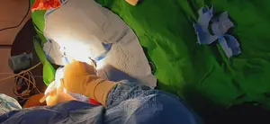 Veterinary Services and Check Ups