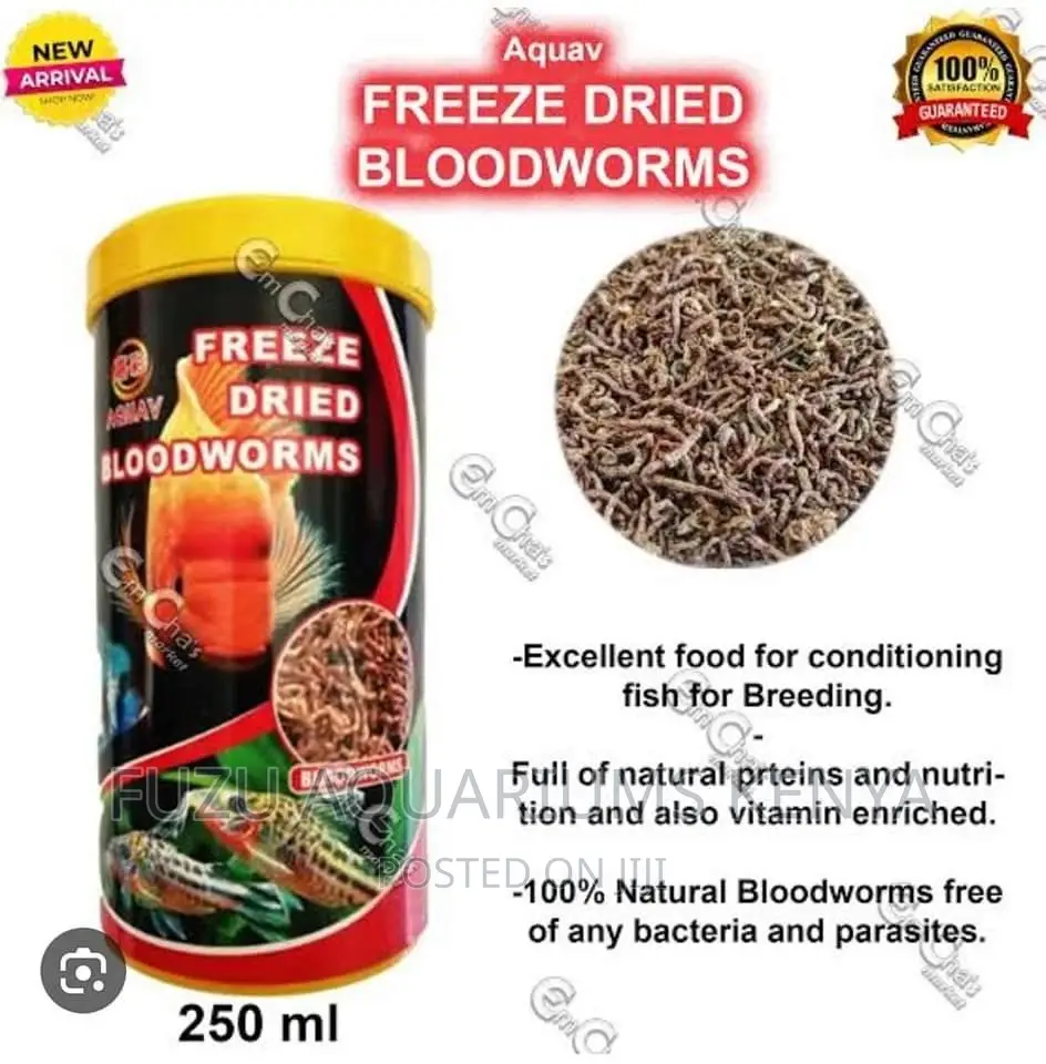 250 Ml Bloodworms