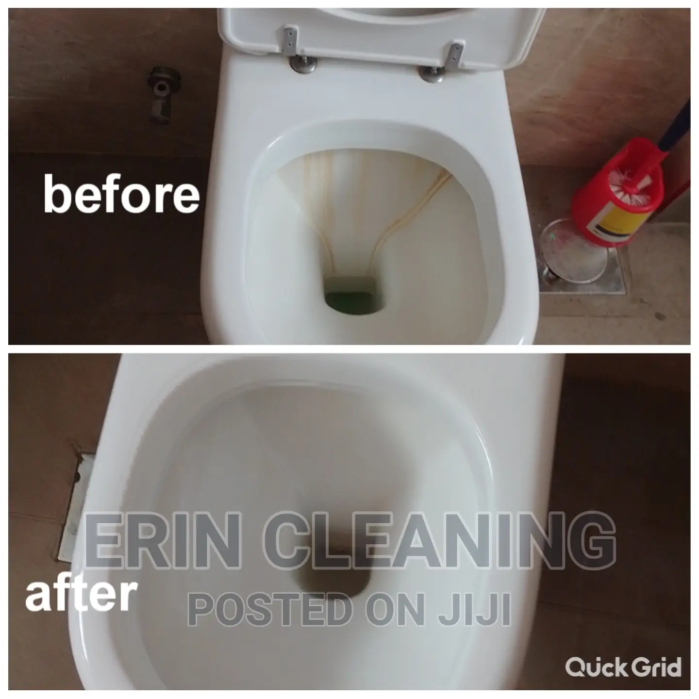 Toilet Cleaning