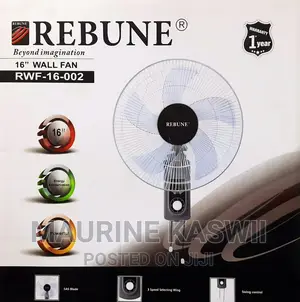 Rebune Wall Fern 16"