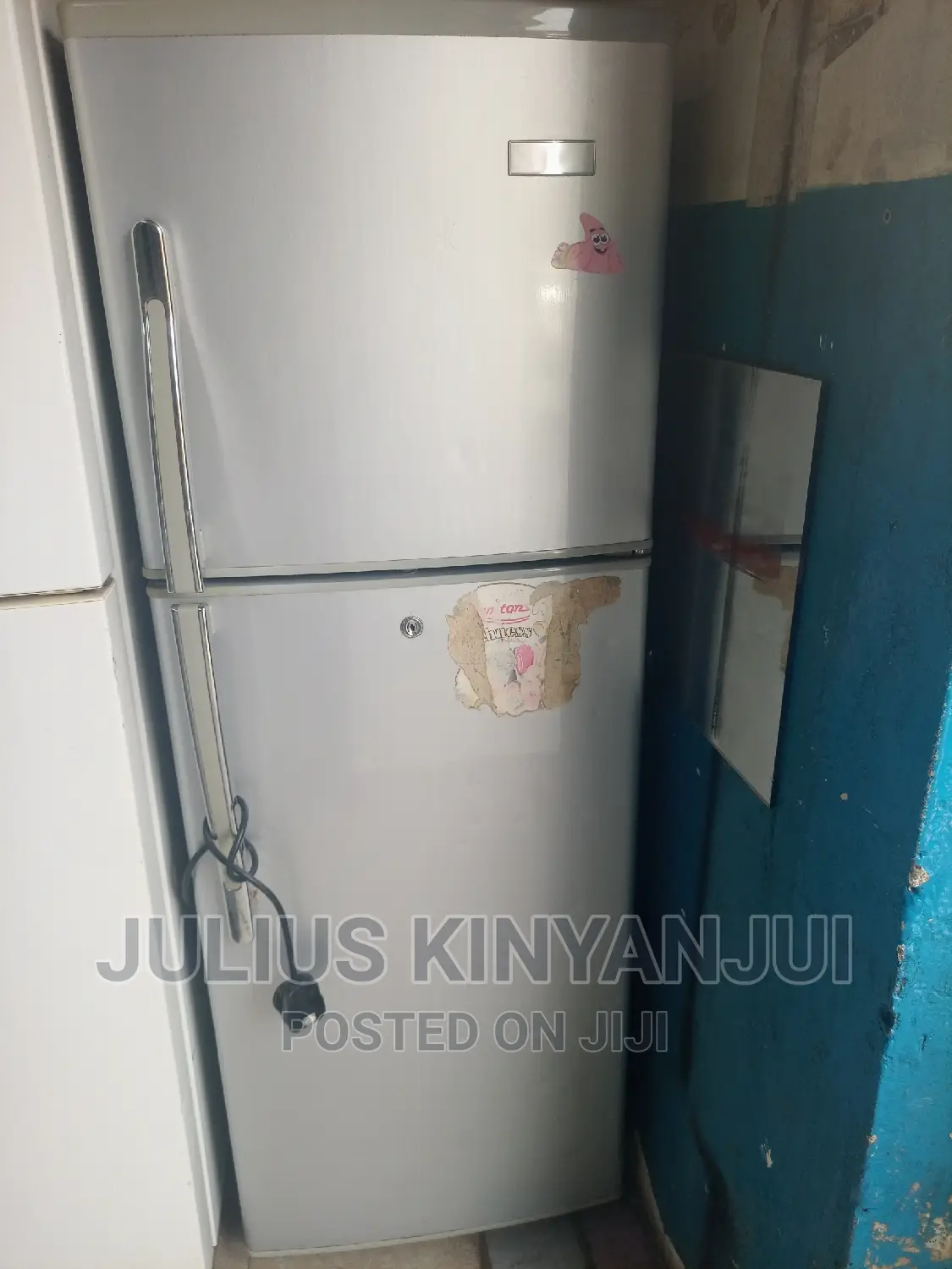 Double Door Fridge