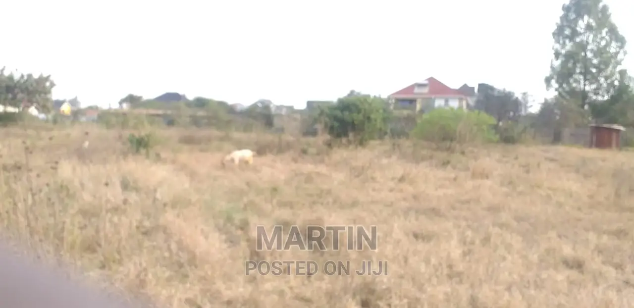 10 Accres of Land Isinya With Clean Title