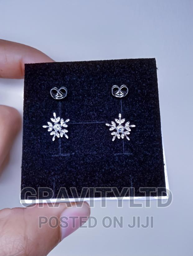 Pure Silver Earrings - main view