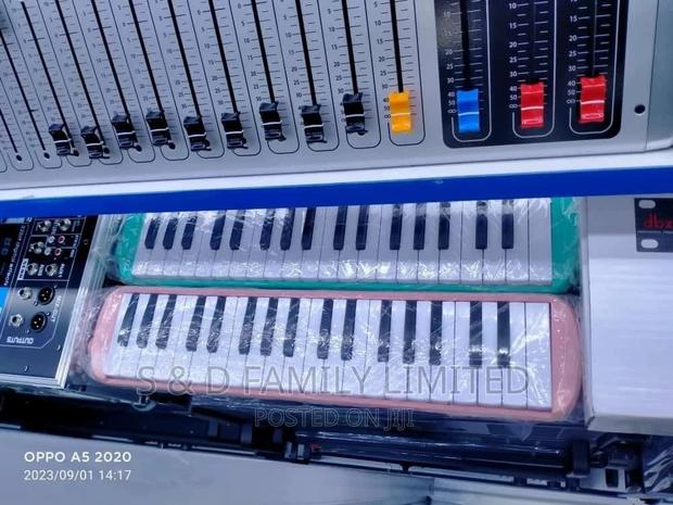 37 Key Melodica - main view