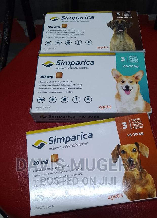 Simparica Chewable Tablet for Dogs - 80mg (1 Tablet) - main view
