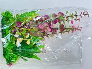Lovely Aquarium Plants