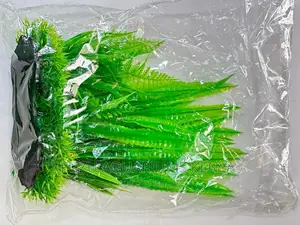 Lovely Aquarium Plants