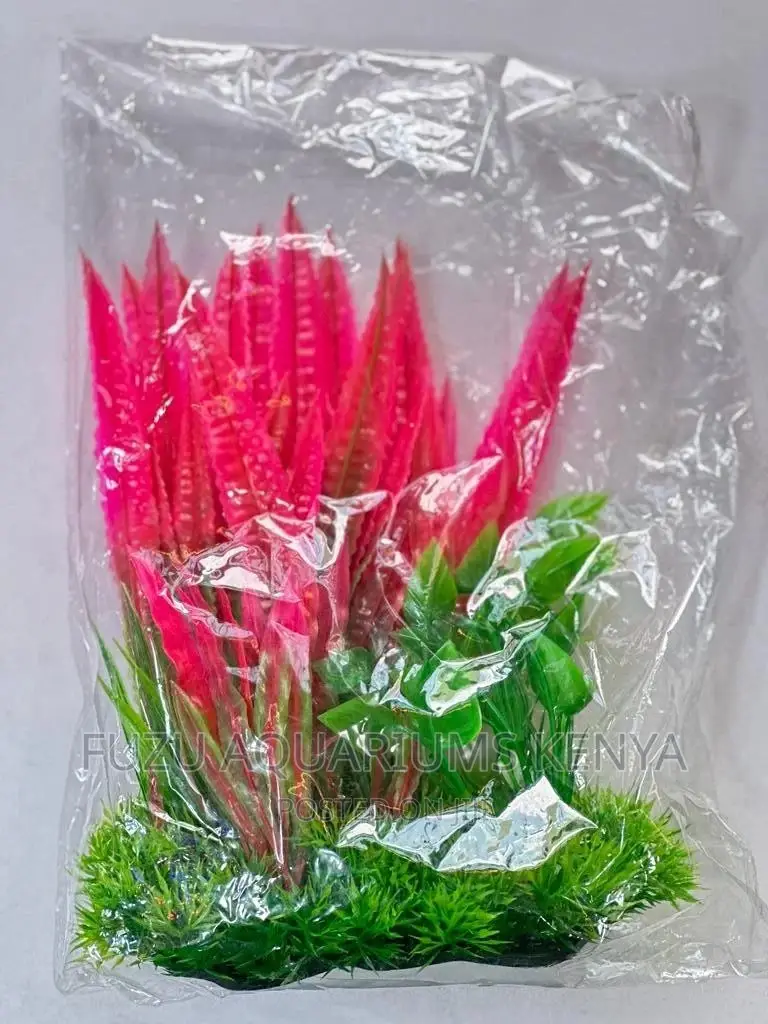 Red Aquarium Plant With Vibrant Colouration