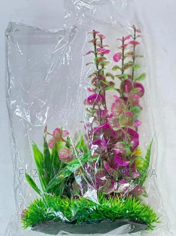 Mixed Coloured Aquarium Plant - main view