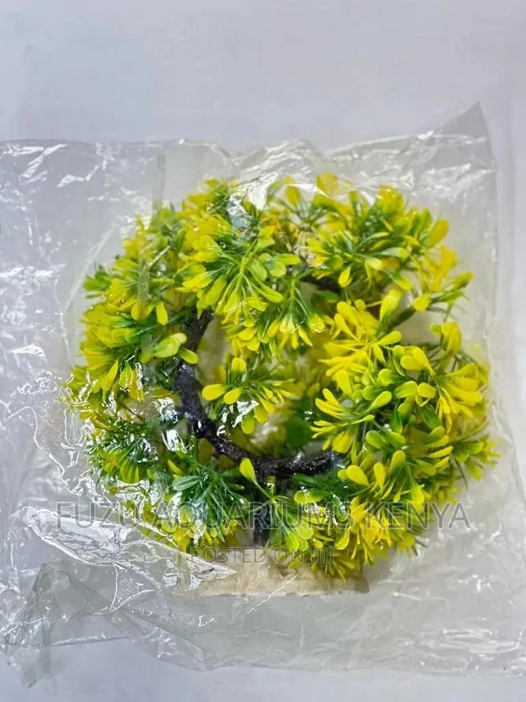 Aquarium Round Plants Green/Yellow