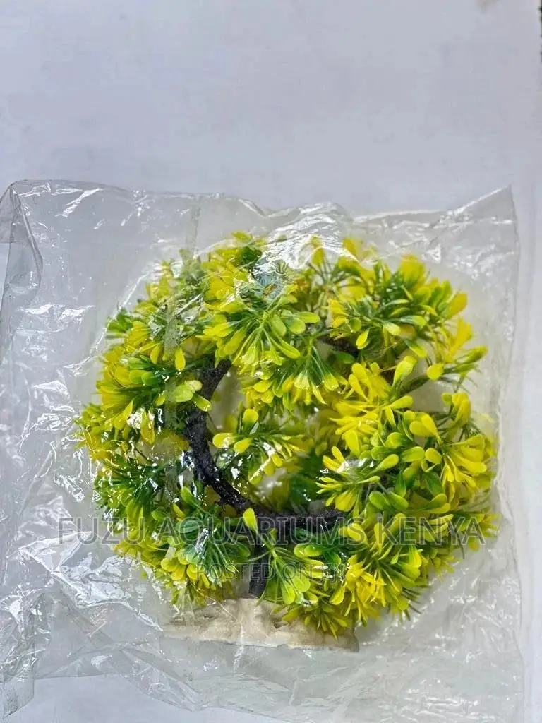 Aquarium Yellow/Green Plants