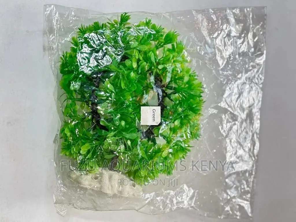 Aquarium Round Plant Green