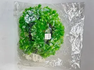 Aquarium Round Plant Green