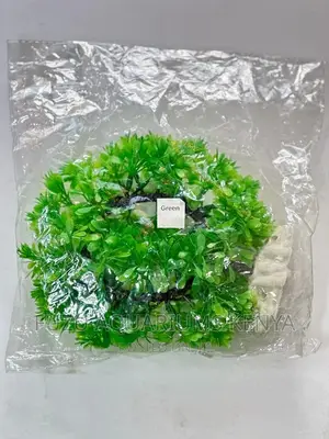 Green Round Aquarium Plant With Cave