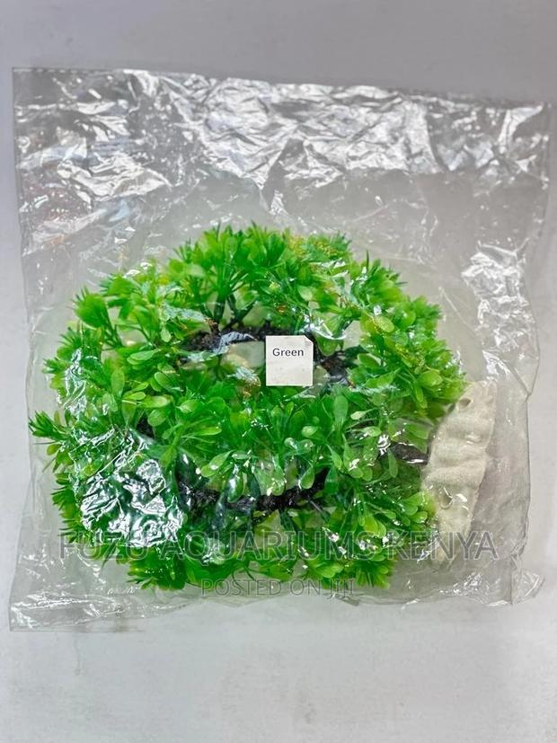Green Round Aquarium Plant With Cave - main view