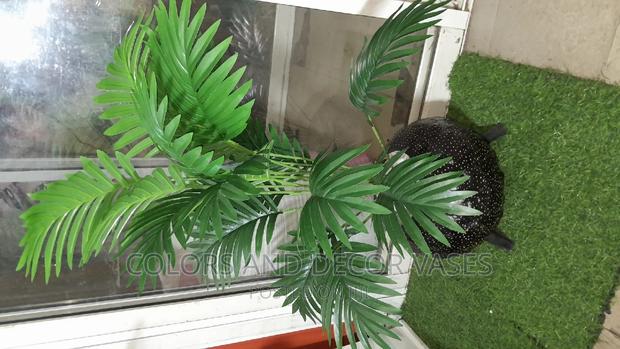 Calabash Plant Palm and Pebble Stones - main view